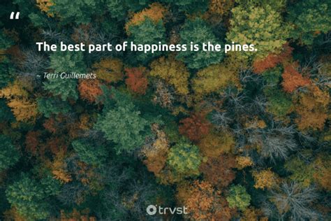 Best pine quotes.